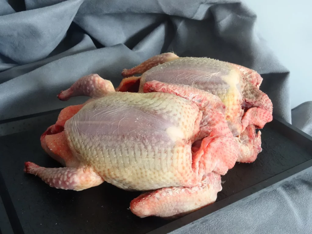 Production de pigeon et pigeonneaux prêt à cuire 🕊️
