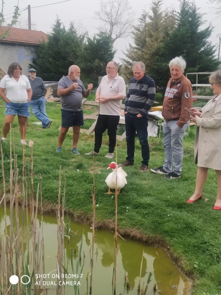 Visite et découverte de la ferme 🌾