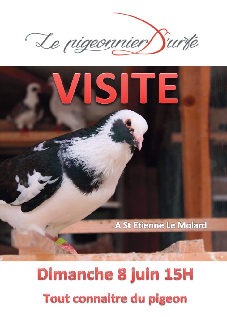Venez visiter Le Pigeonnier d'Urfé